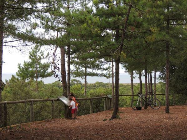 Camping Le Bois Verdon Saint-Jean-de-Monts Zewnętrze zdjęcie